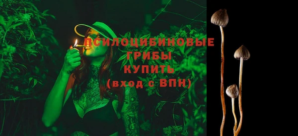 дживик Горнозаводск