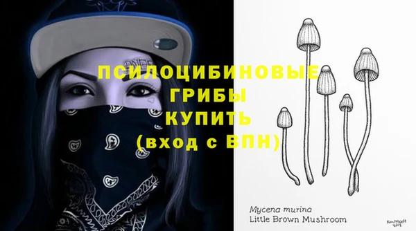дживик Горнозаводск