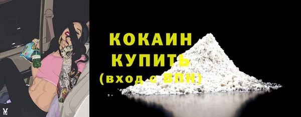 тгк Горняк