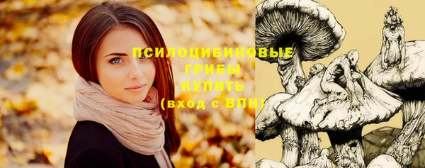 дживик Горнозаводск