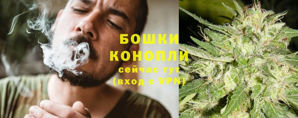 тгк Горняк