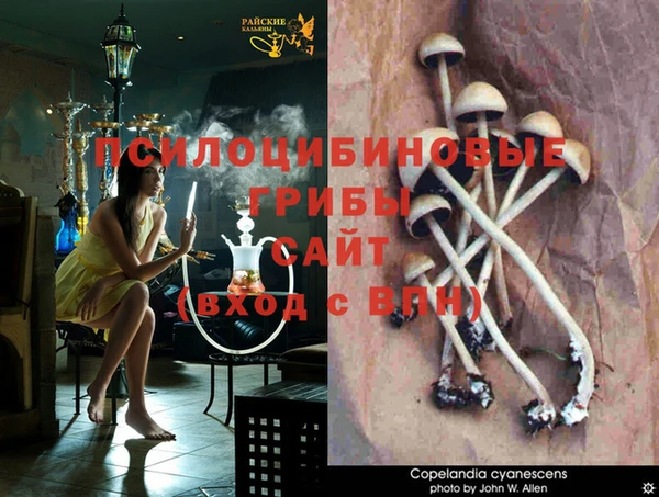 тгк Горняк