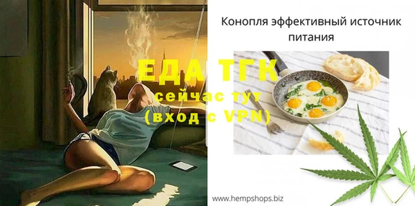 тгк Горняк