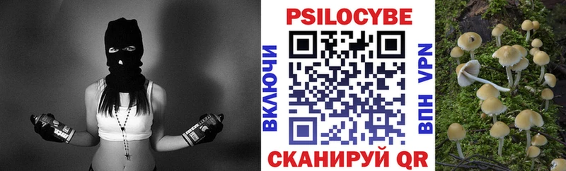 Купить  Шуя  Галлюциногенные грибы Magic Shrooms 