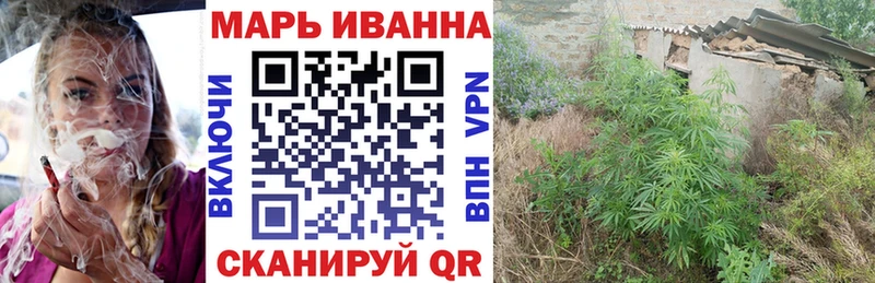 Каннабис сатива Шуя